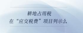 耕地占用稅在“應(yīng)交稅費(fèi)”項(xiàng)目列示么