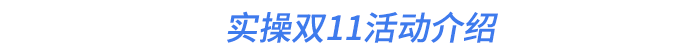 實(shí)操雙11活動(dòng)介紹