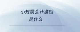 小規(guī)模會計準則是什么