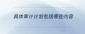 具體審計計劃包括哪些內(nèi)容