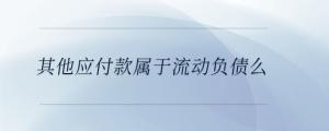 其他應(yīng)付款屬于流動負債么