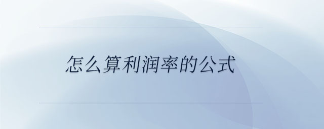 怎么算利潤(rùn)率的公式