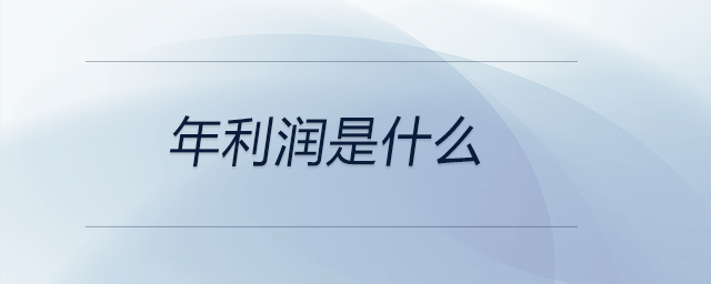 年利潤(rùn)是什么