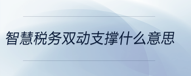 智慧稅務雙動支撐什么意思