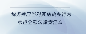 稅務師應當對其他執(zhí)業(yè)行為承擔全部法律責任么