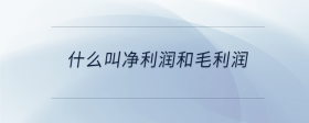 什么叫凈利潤(rùn)和毛利潤(rùn)
