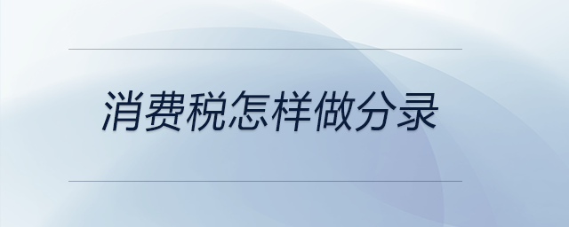 消費稅怎樣做分錄