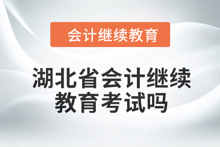 2024年湖北省會計人員繼續(xù)教育考試嗎？