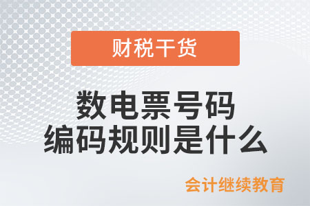 數(shù)電票號碼編碼規(guī)則是什么？