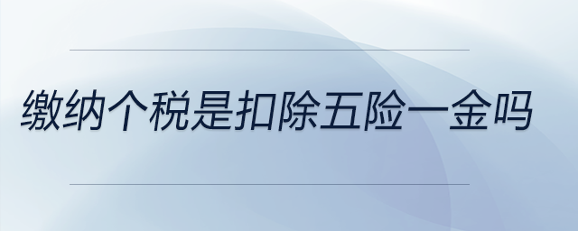 繳納個稅是扣除五險(xiǎn)一金嗎