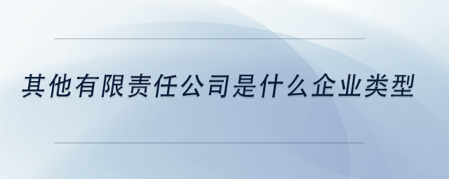 中級會計其他有限責(zé)任公司是什么企業(yè)類型