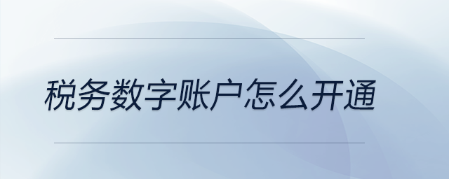 稅務(wù)數(shù)字賬戶怎么開通