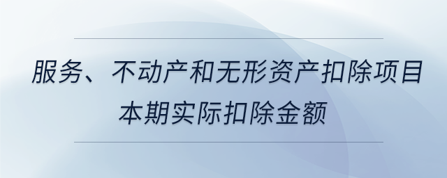服務(wù)、不動產(chǎn)和無形資產(chǎn)扣除項目本期實際扣除金額