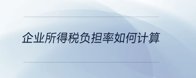 企業(yè)所得稅負擔率如何計算