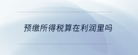 預(yù)繳所得稅算在利潤里嗎