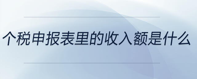 個(gè)稅申報(bào)表里的收入額是什么