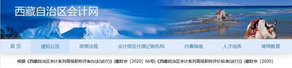 西藏2024年高級(jí)會(huì)計(jì)師通過評(píng)審會(huì)人員名單公示