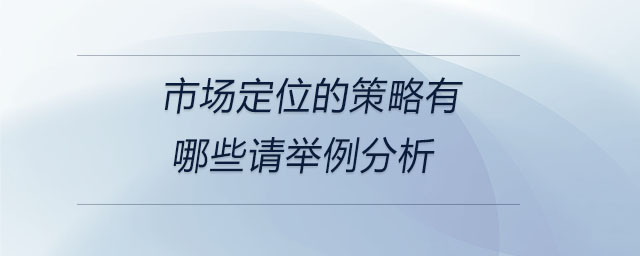 市場定位的策略有哪些請舉例分析