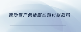 速動資產(chǎn)包括哪些預(yù)付賬款嗎
