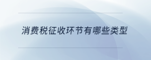 消費(fèi)稅征收環(huán)節(jié)有哪些類(lèi)型