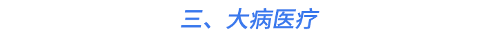 三、大病醫(yī)療