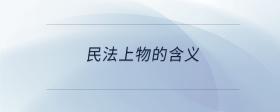 民法上物的含義