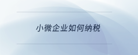 小微企業(yè)如何納稅