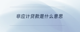 非應(yīng)計(jì)貸款是什么意思