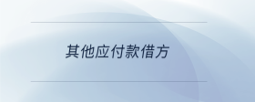其他應付款借方