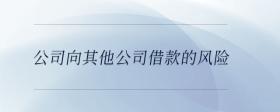 公司向其他公司借款的風險