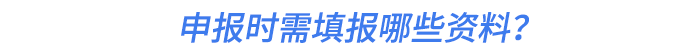 申報時需填報哪些資料？