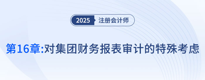 第十六章對(duì)集團(tuán)財(cái)務(wù)報(bào)表審計(jì)的特殊考慮_2025年注會(huì)審計(jì)搶學(xué)記憶樹(shù)