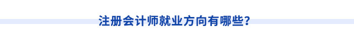注冊(cè)會(huì)計(jì)師就業(yè)方向有哪些？