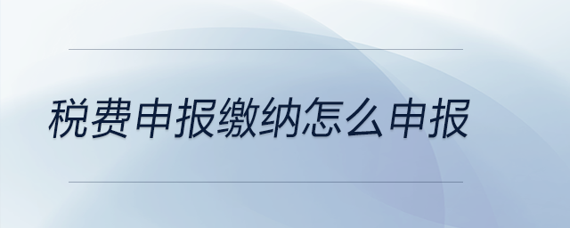 稅費(fèi)申報(bào)繳納怎么申報(bào)