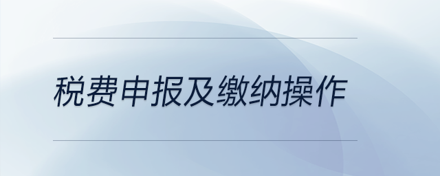 稅費(fèi)申報及繳納操作
