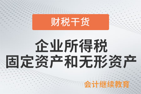 企業(yè)所得稅的固定資產(chǎn)和無形資產(chǎn)包括什么？