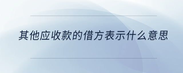 其他應收款的借方表示什么意思