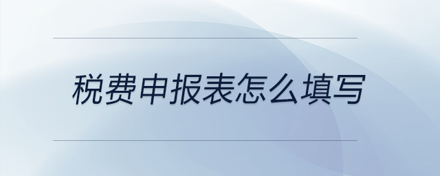 稅費(fèi)申報表怎么填寫