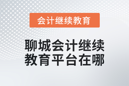 2024年聊城會(huì)計(jì)人員繼續(xù)教育平臺(tái)在哪？