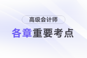 2025年《高級(jí)會(huì)計(jì)實(shí)務(wù)》考試重點(diǎn)難點(diǎn)有哪些？