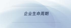 企業(yè)生命周期