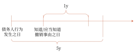 中級會計撤銷權(quán)2