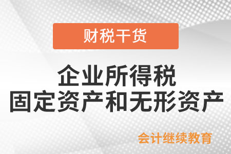 企業(yè)所得稅上的固定資產(chǎn)和無(wú)形資產(chǎn)包括什么？