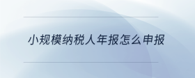 小規(guī)模納稅人年報(bào)怎么申報(bào)