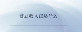 營(yíng)業(yè)收入包括什么