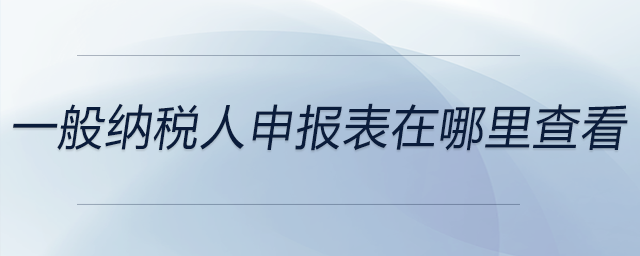 一般納稅人申報表在哪里查看