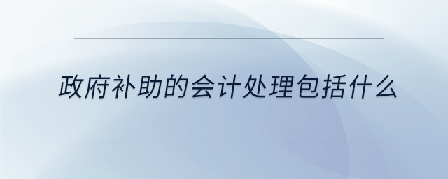 政府補(bǔ)助的會(huì)計(jì)處理包括什么