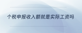 個(gè)稅申報(bào)收入額就是實(shí)際工資嗎