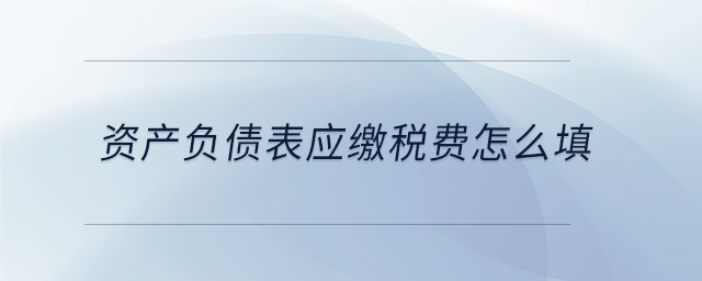 資產(chǎn)負(fù)債表應(yīng)繳稅費怎么填