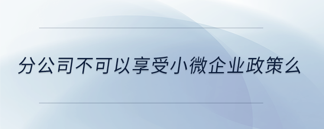 分公司不可以享受小微企業(yè)政策么